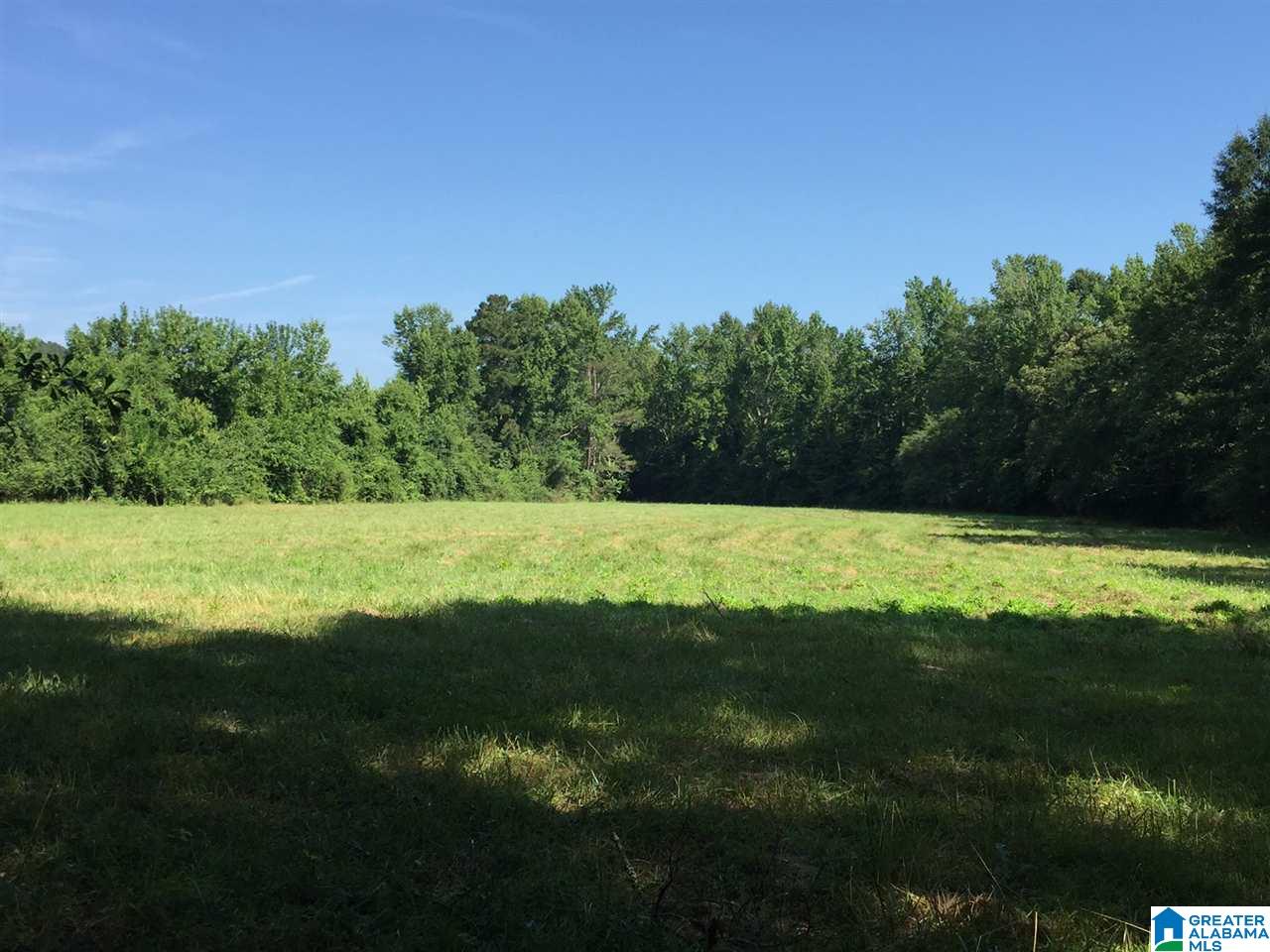 366 Parker Road Cropwell, AL 35054 - Photo 20 of 46