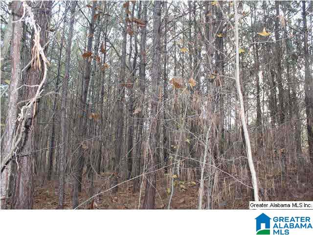 Valley Grove Road, Unit 34 Jacksons Gap, AL 36861 - Photo 2 of 3