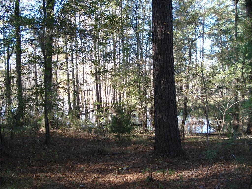 265 Pinckard Road Colfax, LA 71417 - Photo 2 of 4