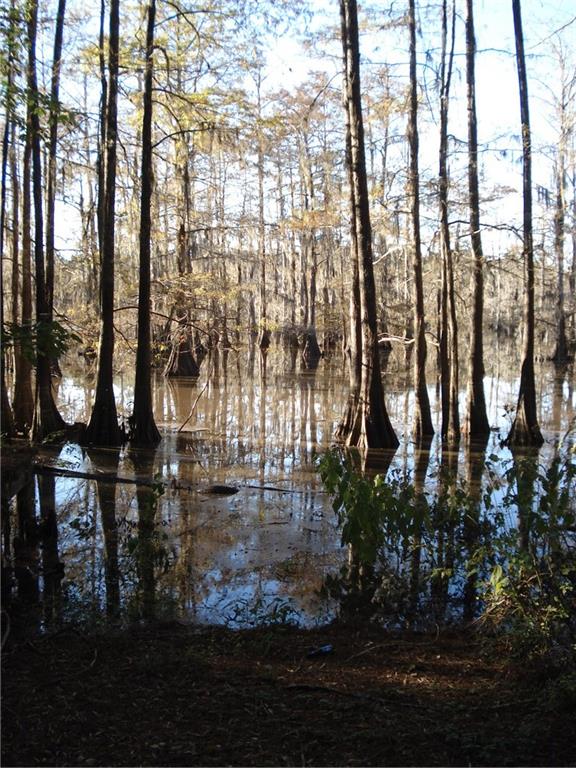 265 Pinckard Road Colfax, LA 71417 - Photo 3 of 4