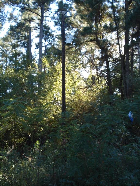 265 Pinckard Road Colfax, LA 71417 - Photo 4 of 4