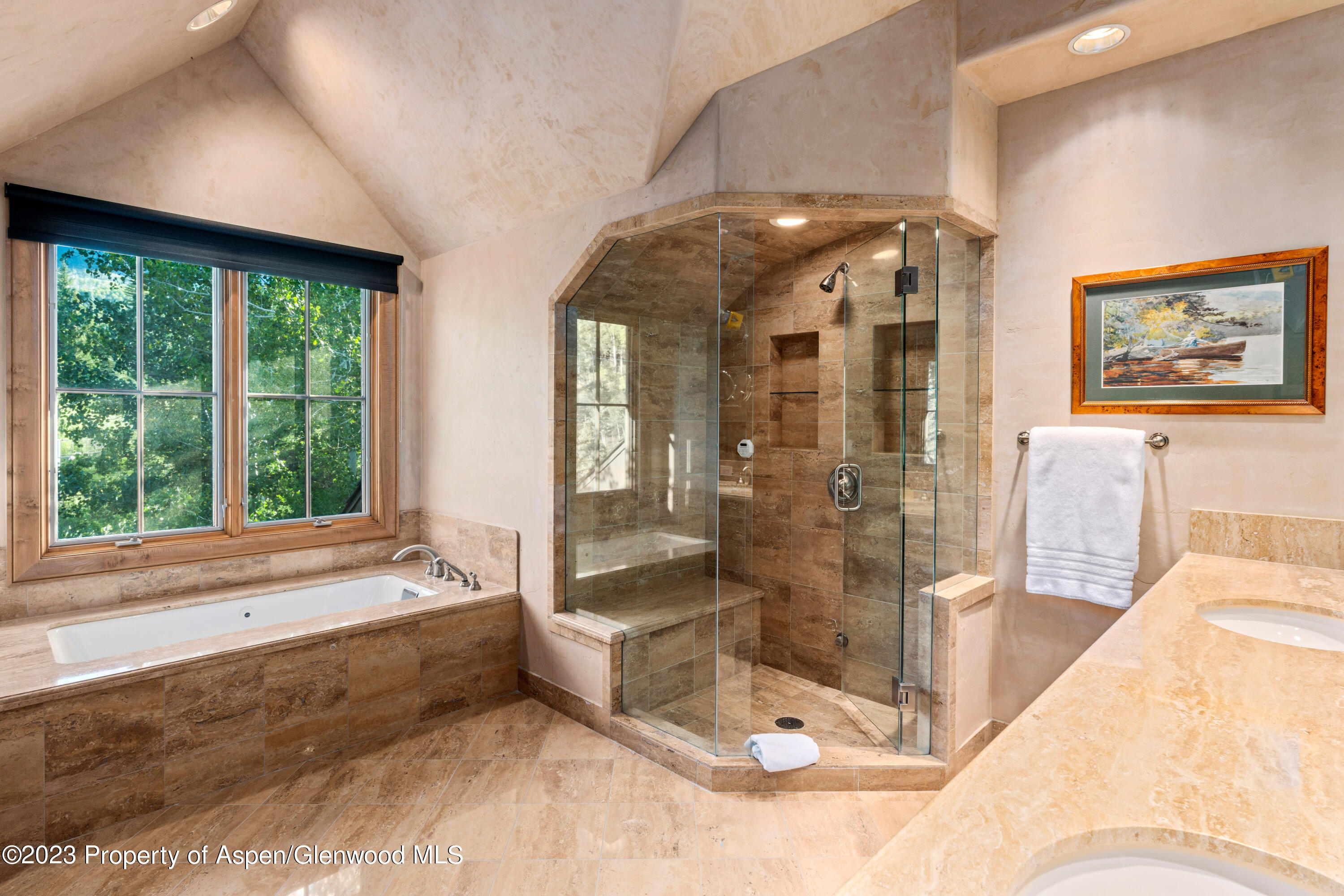 507 Streamside Court Snowmass Village, CO 81615 - Photo 19 of 30 Photo6