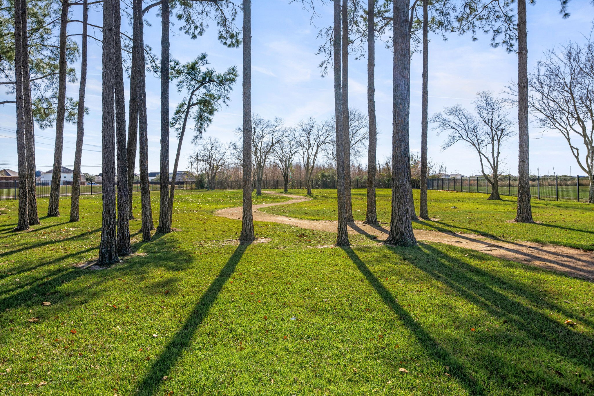 20811 Filbert Lane Katy, TX 77449 - Photo 42 of 43 a view of an outdoor space
