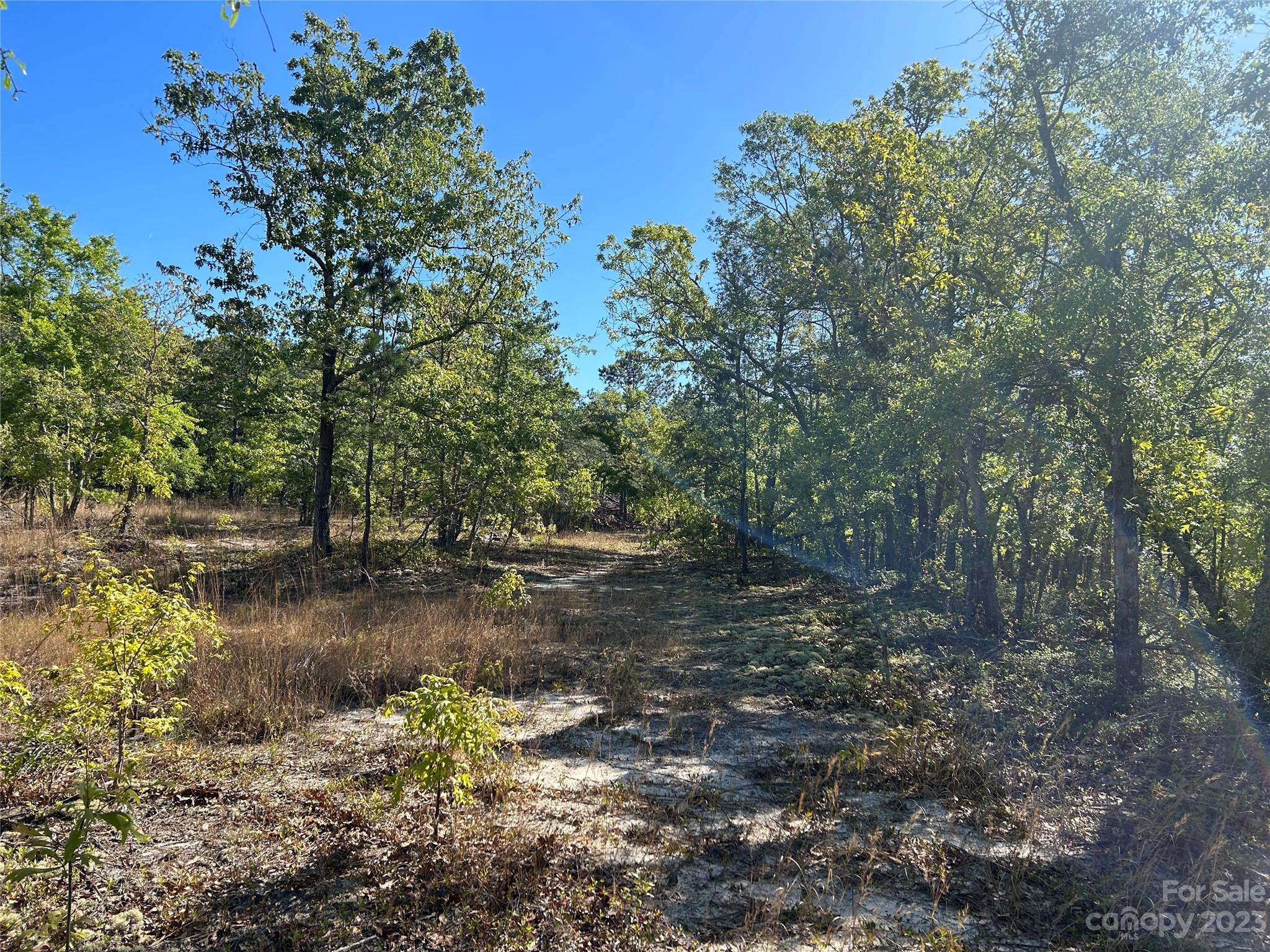 2847 Screaming Eagle Road Lugoff, SC 29078 - Photo 12 of 17