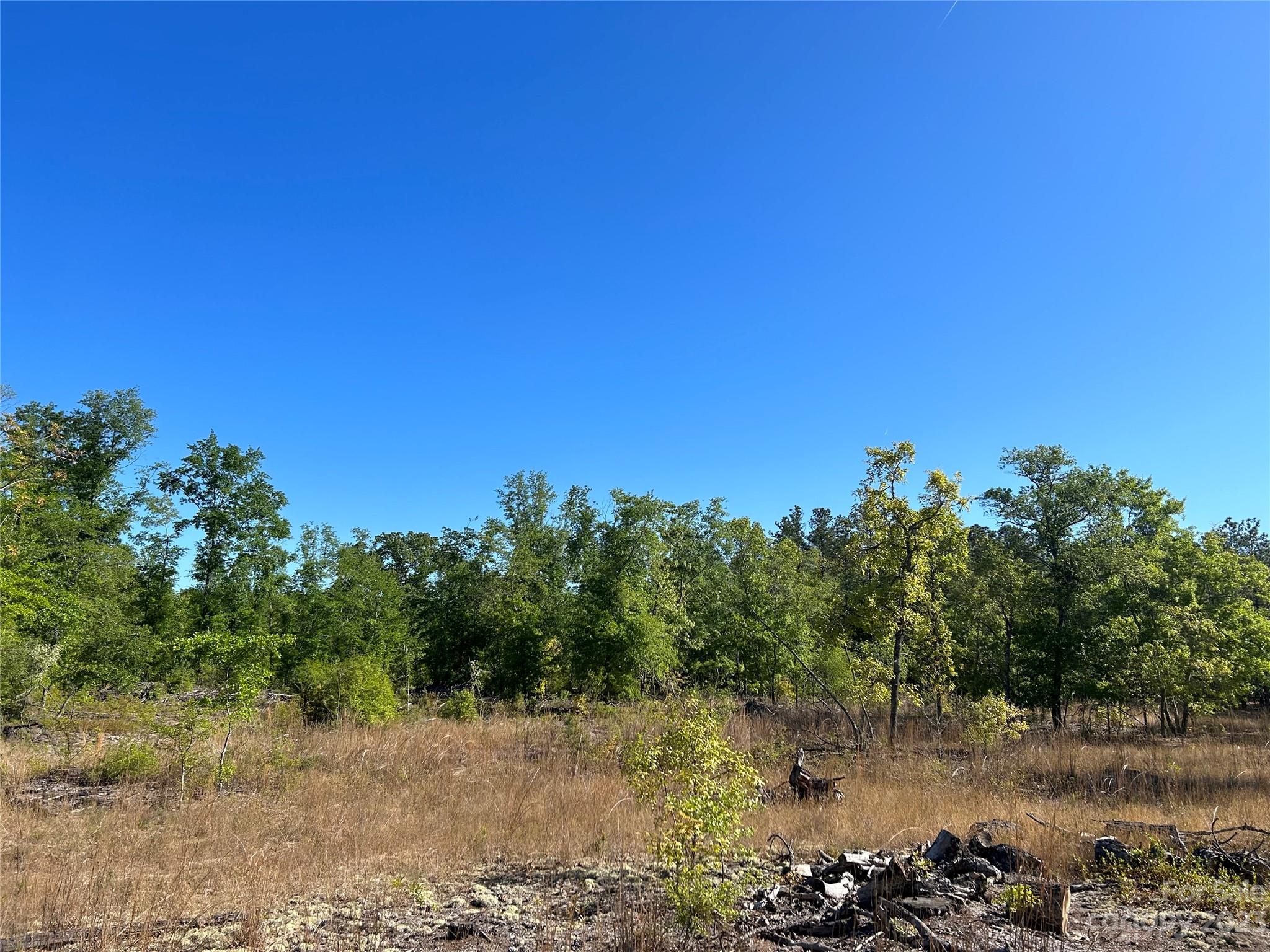 2847 Screaming Eagle Road Lugoff, SC 29078 - Photo 2 of 17