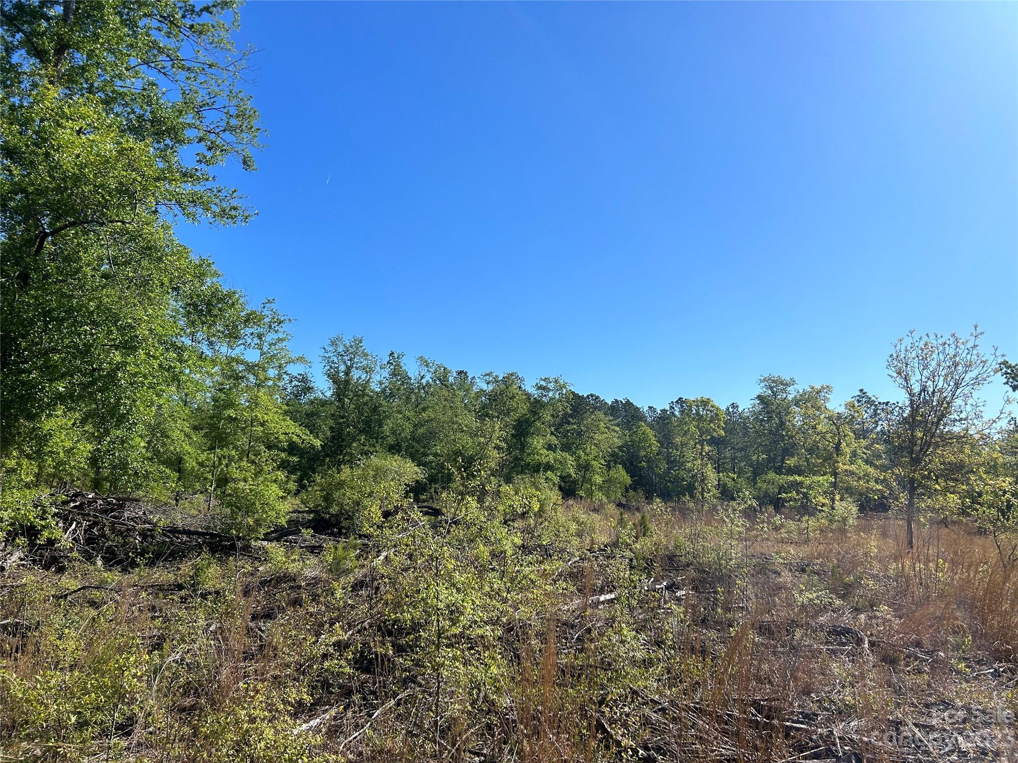 2847 Screaming Eagle Road Lugoff, SC 29078 - Photo 4 of 17