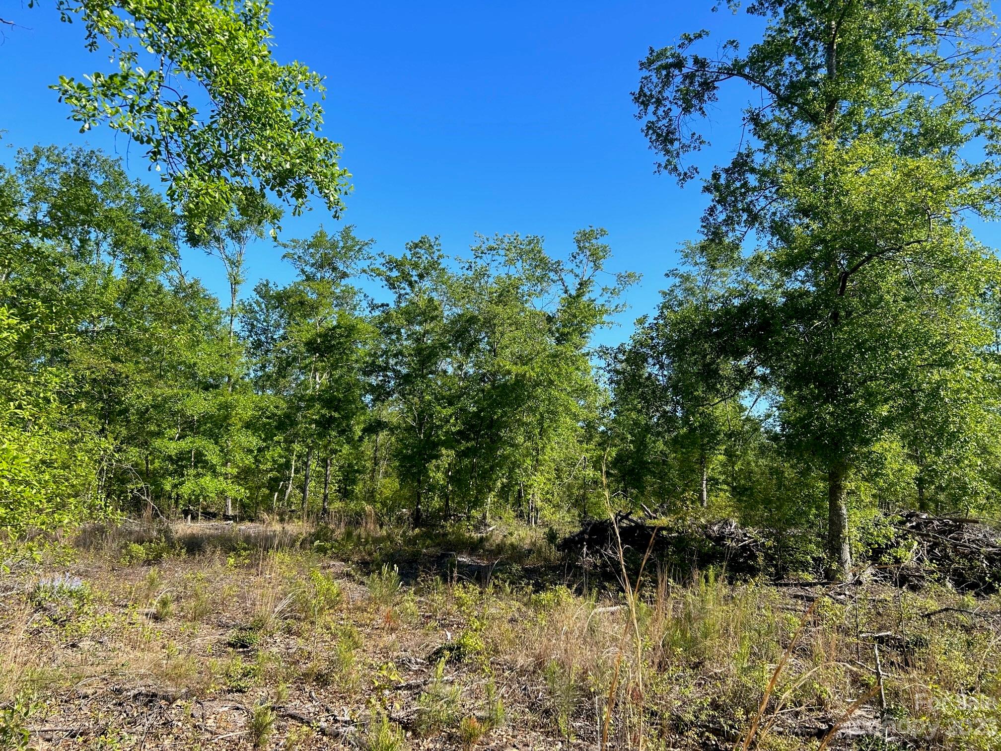 2847 Screaming Eagle Road Lugoff, SC 29078 - Photo 5 of 17