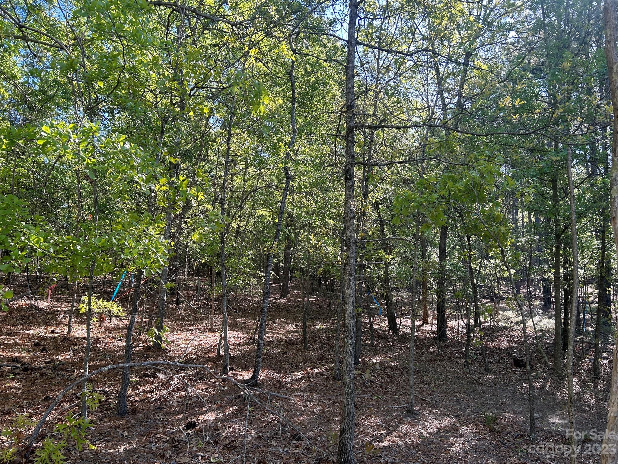 2847 Screaming Eagle Road Lugoff, SC 29078 - Photo 8 of 17