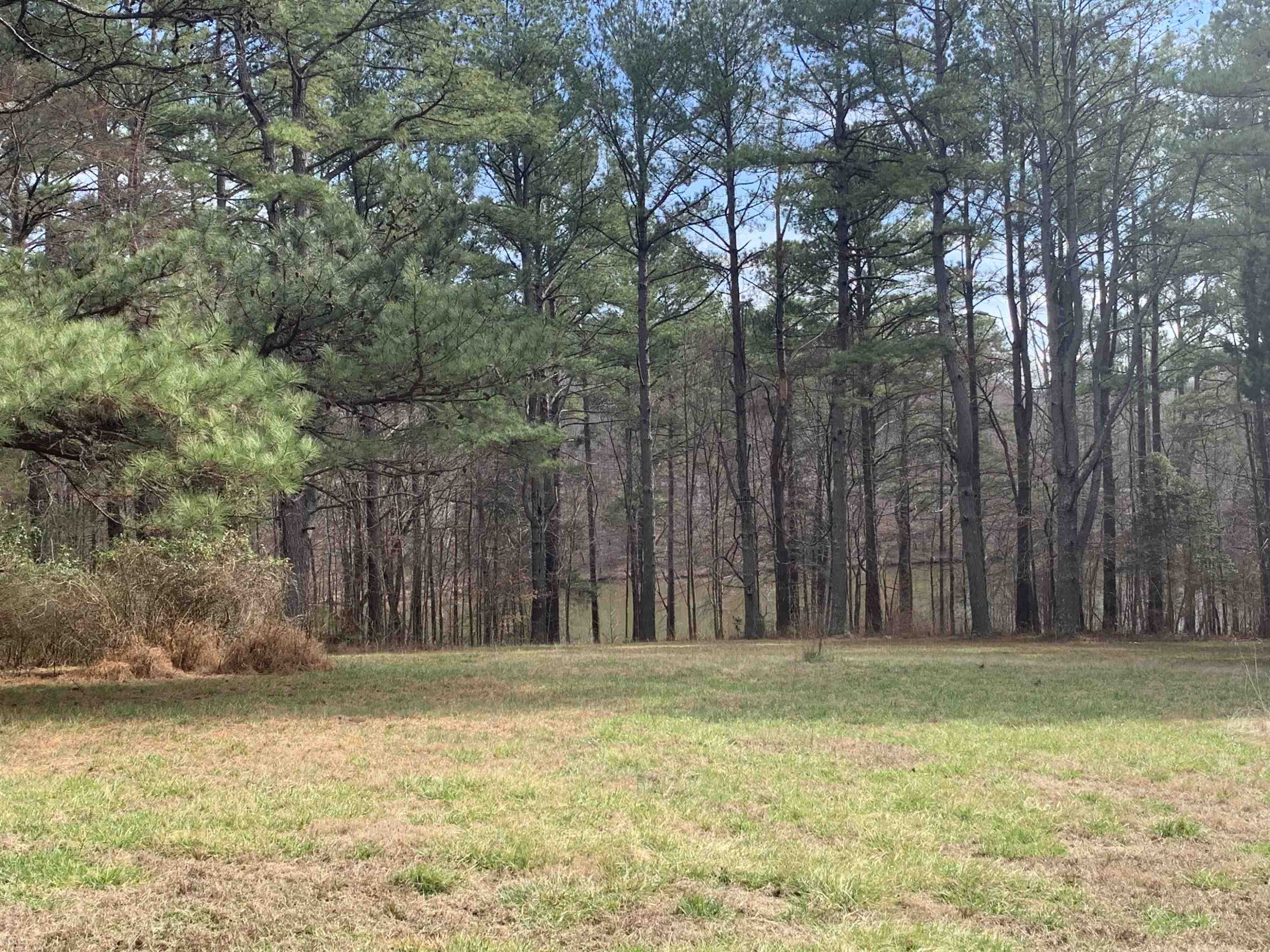 5505 Old Still Road Wake Forest, NC 27587 - Photo 2 of 4 Views of lake