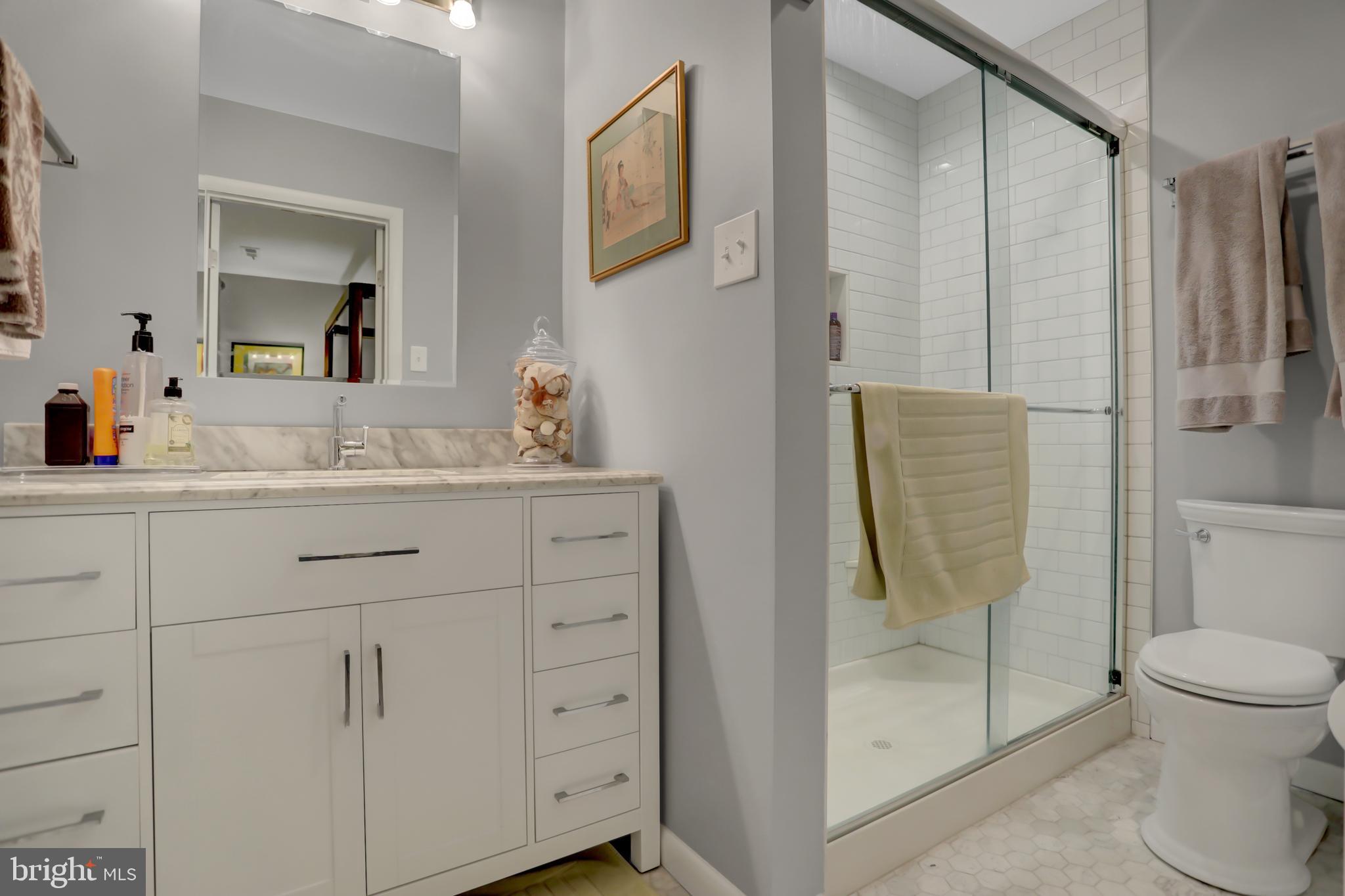 101 Cross Keys Road, Unit R101F Baltimore, MD 21210 - Photo 17 of 32 Master Bathroom