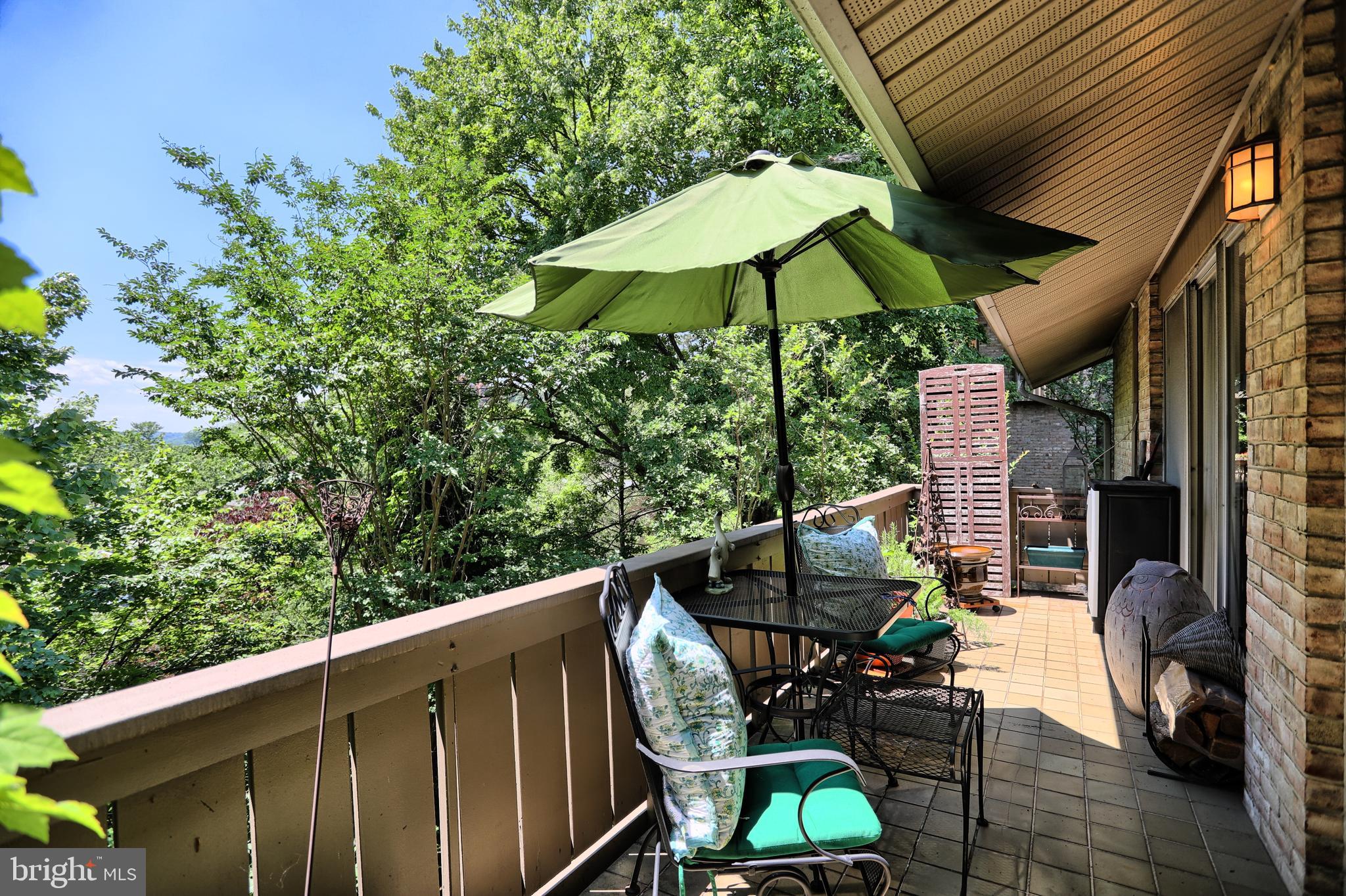 101 Cross Keys Road, Unit R101F Baltimore, MD 21210 - Photo 26 of 32 Large Porch
