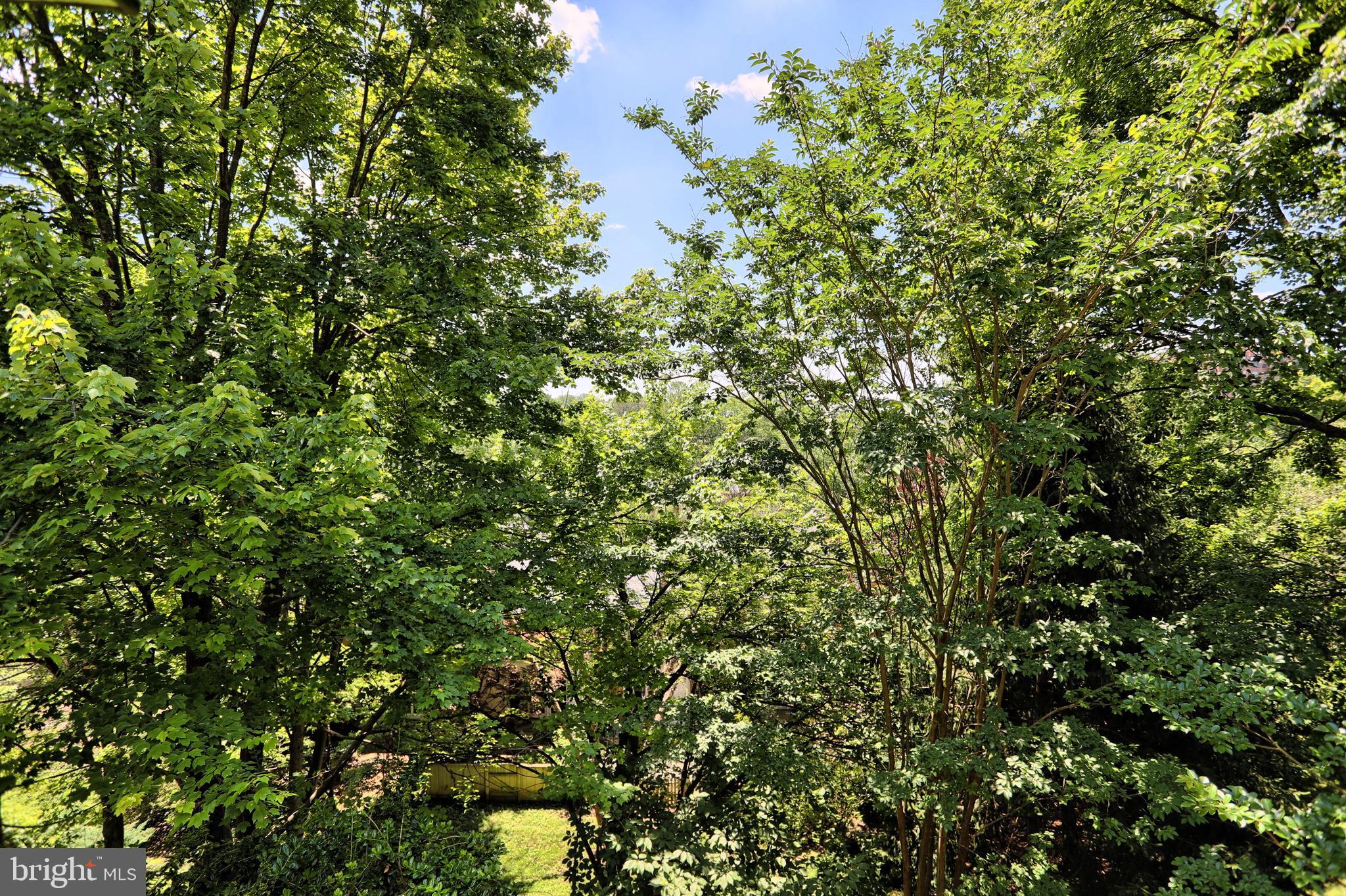 101 Cross Keys Road, Unit R101F Baltimore, MD 21210 - Photo 27 of 32 Southern Exposure, View from Porch