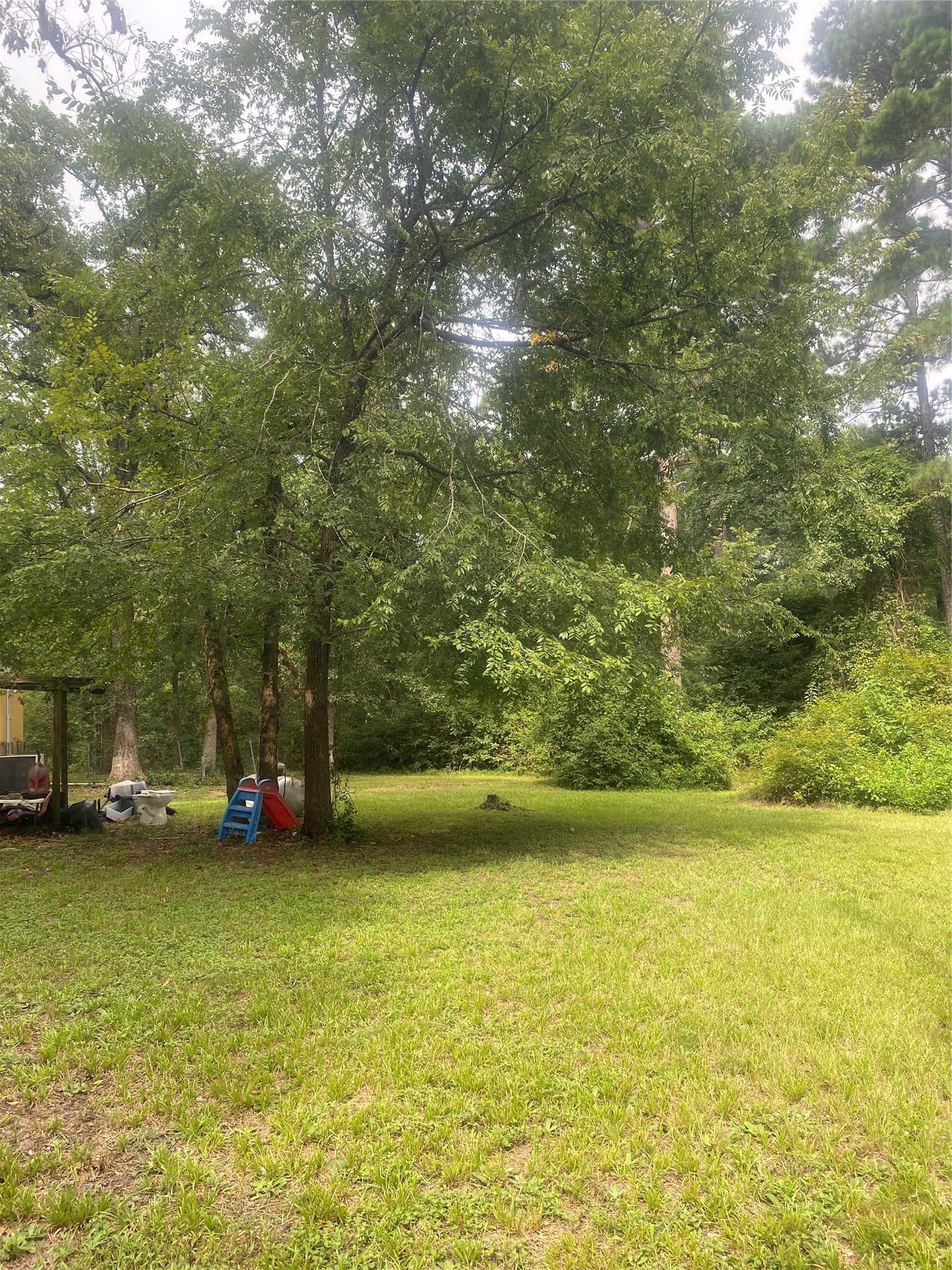 137 Camp Road Trinity, TX 75862 - Photo 12 of 12 a view of car parked next to yard