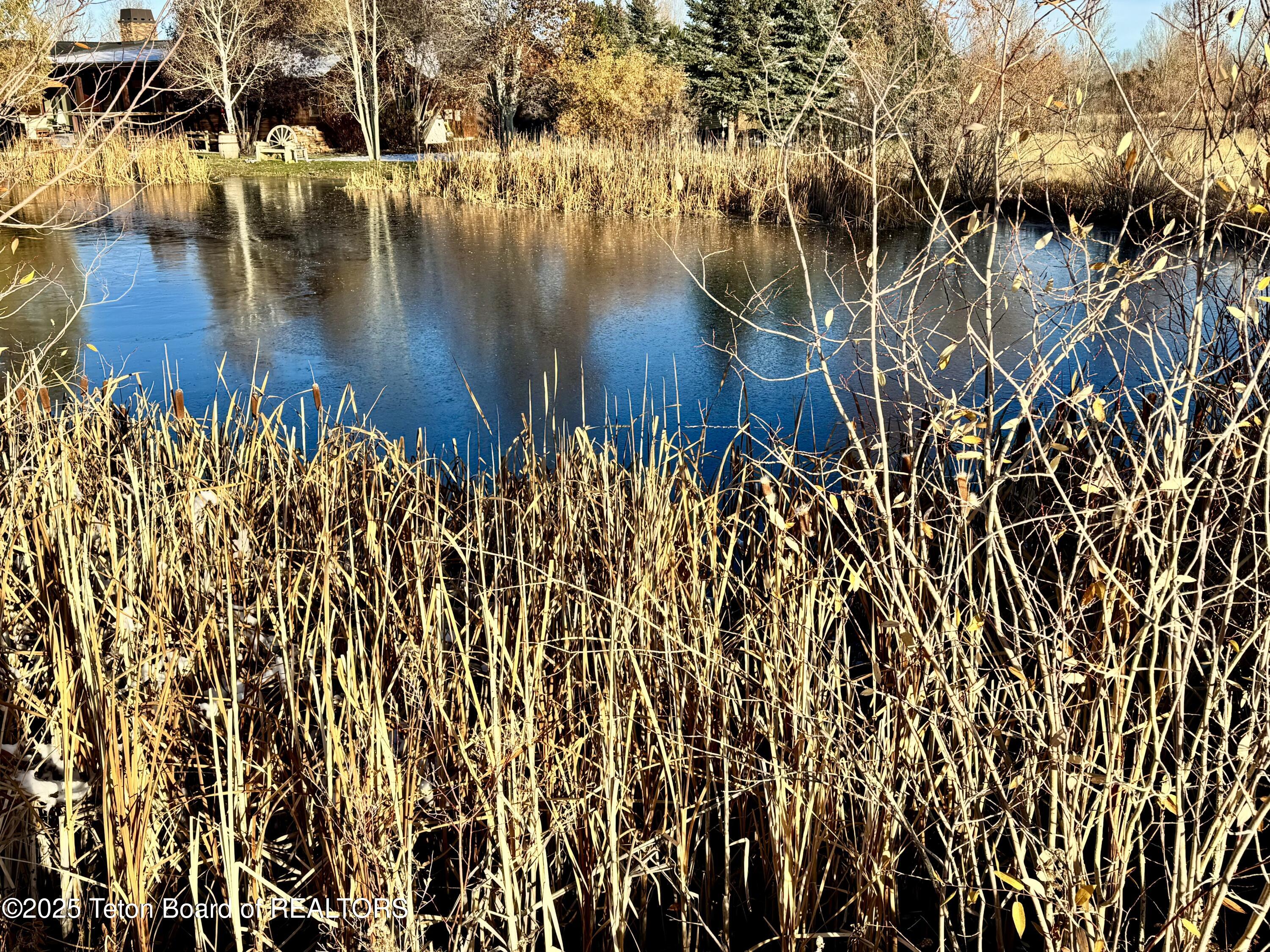 190 Lakewood Road Victor, ID 83455 - Photo 4 of 10 IMG_1731