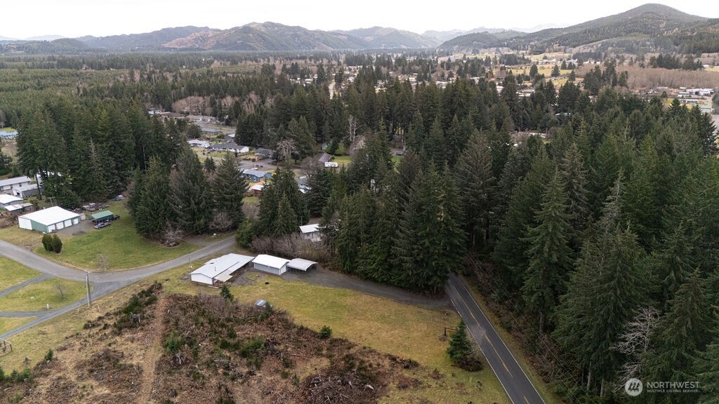 1393 Bogachiel Way Forks, WA 98331 - Photo 32 of 39