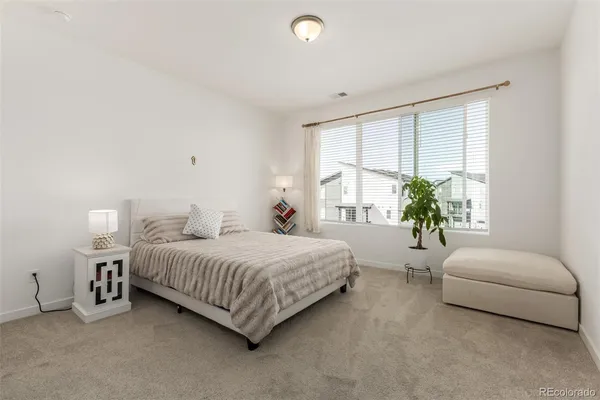 a bedroom with a bed couch and a potted plant