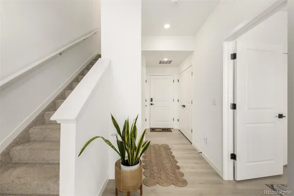 a view of a potted plant in a corridor