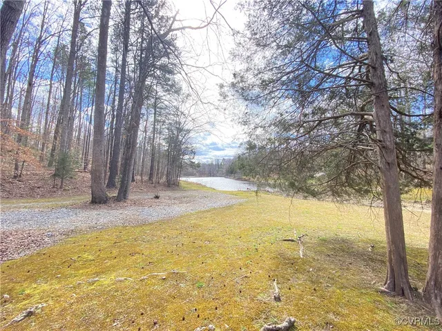 a view of yard with large trees