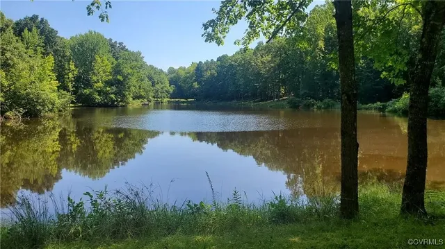 a view of a lake in middle of forest