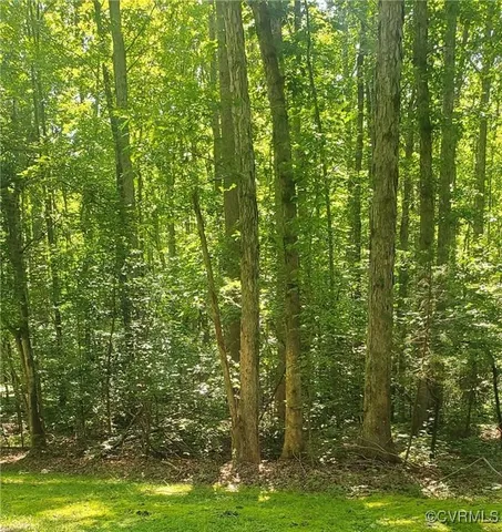 a view of a yard with a fountain