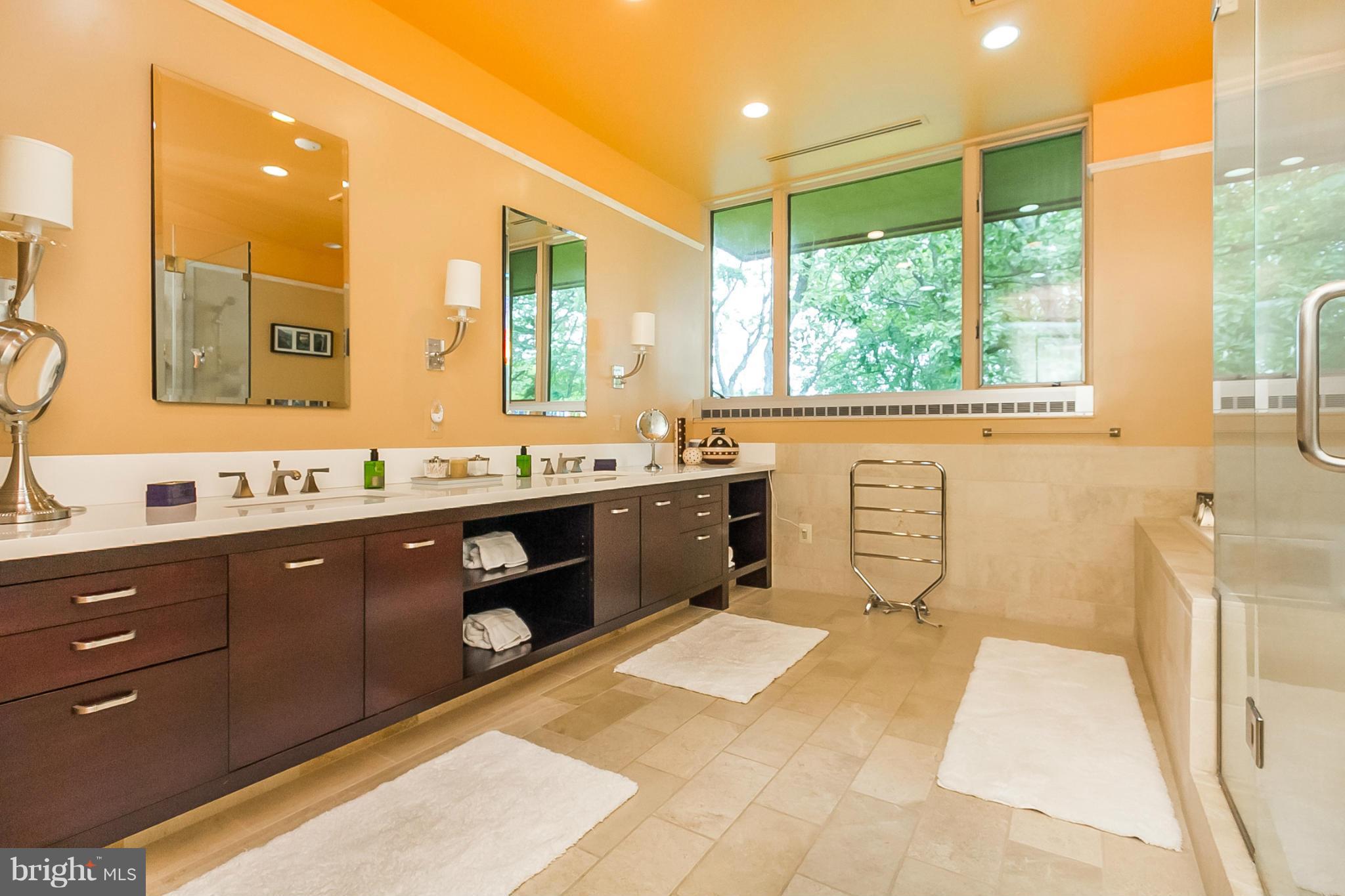 3206 Caves Road Owings Mills, MD 21117 - Photo 19 of 30 Bath (Master)