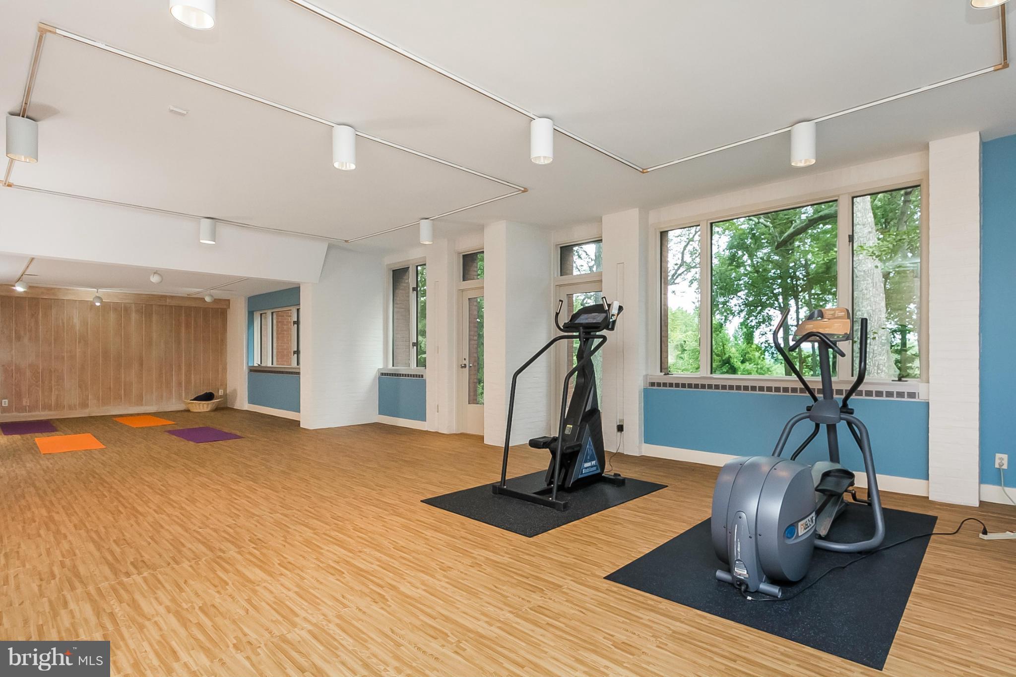 3206 Caves Road Owings Mills, MD 21117 - Photo 23 of 30 Workout Room