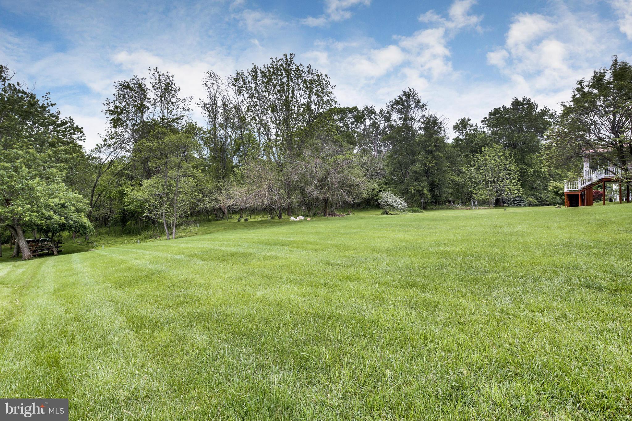 14608 Cutstone Way Silver Spring, MD 20905 - Photo 3 of 30 a view of a grassy field with trees in the background