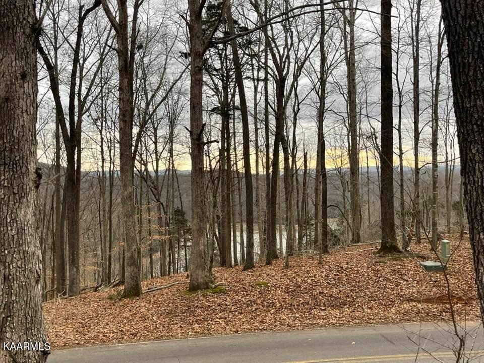 9091 Faix Road Byrdstown, TN 38549 - Photo 7 of 40 268764023_4775451672549504_5965919900576