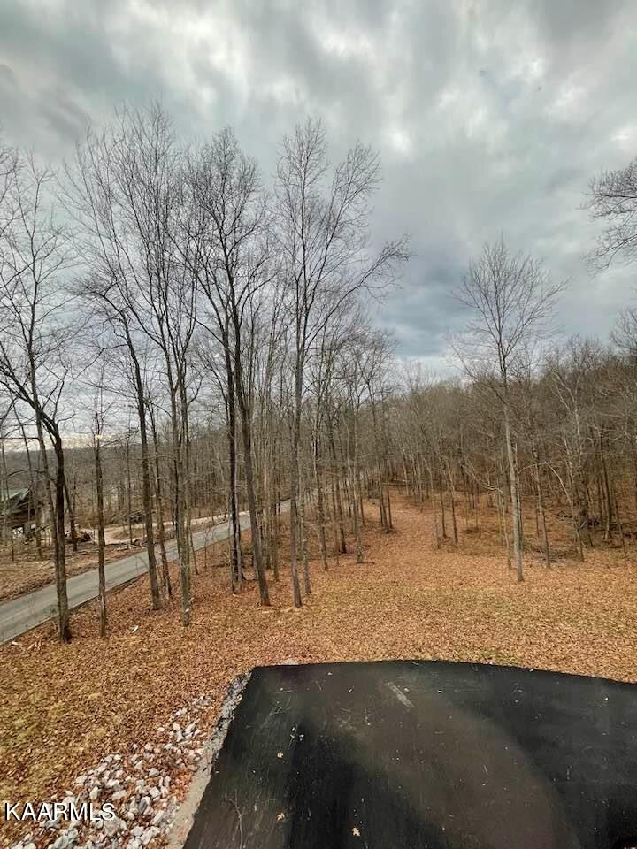 9091 Faix Road Byrdstown, TN 38549 - Photo 8 of 40 267756298_4775448295883175_4406412466195