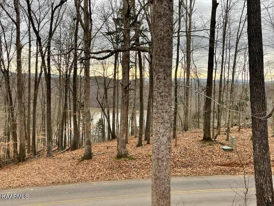 9091 Faix Road Byrdstown, TN 38549 - Photo 10 of 40 267468622_4775451675882837_7586975651219