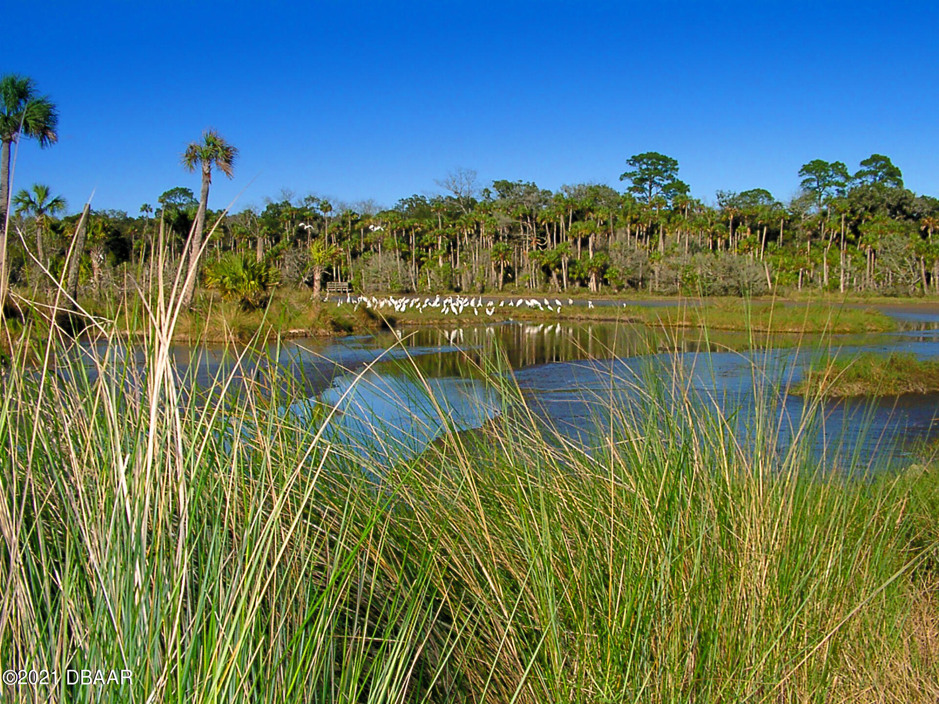 1320 Tullamore Boulevard Ormond Beach, FL 32174 - Photo 19 of 21 BirdsMarshWtrBrdman