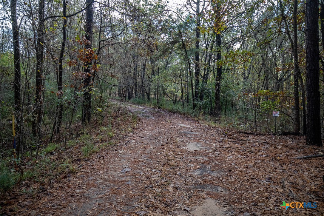 474 Private Road 4311 Longview, TX 75604 - Photo 29 of 47