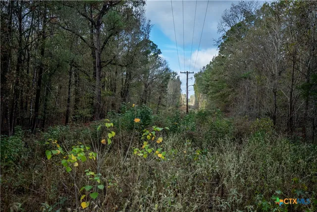 $2,400,000 | 474 Private Road 4311, Longview, TX 75604