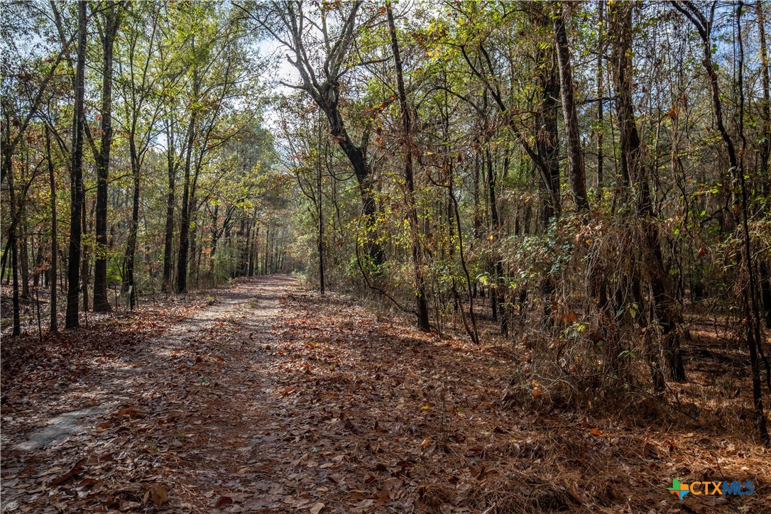 474 Private Road 4311 Longview, TX 75604 - Photo 32 of 47