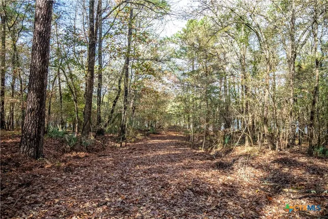 $2,400,000 | 474 Private Road 4311, Longview, TX 75604