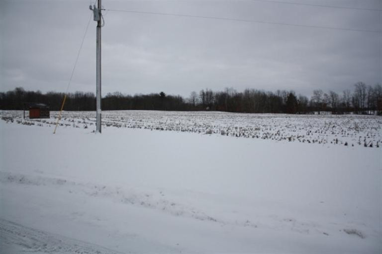 7636 North Backus Road Six Lakes, MI 48886 - Photo 3 of 24 Additional Photo
