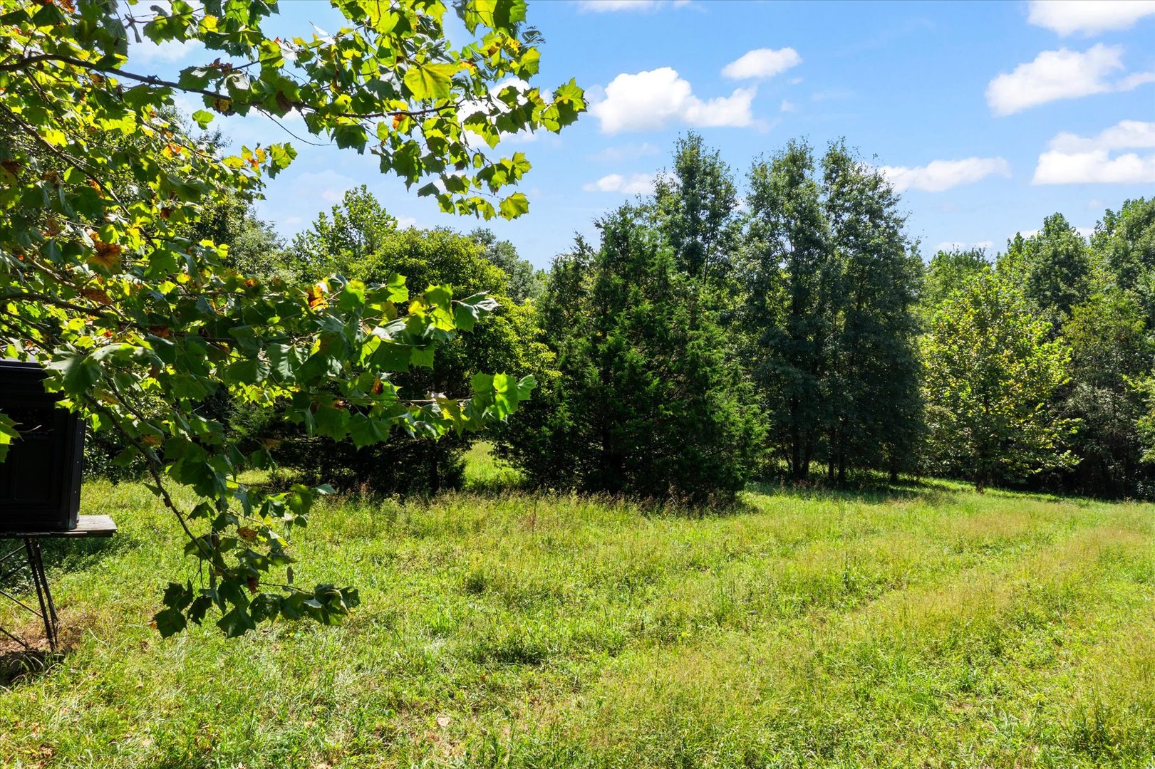 7302 River Road Iuka, IL 62849 - Photo 51 of 60 Gallery Image 51