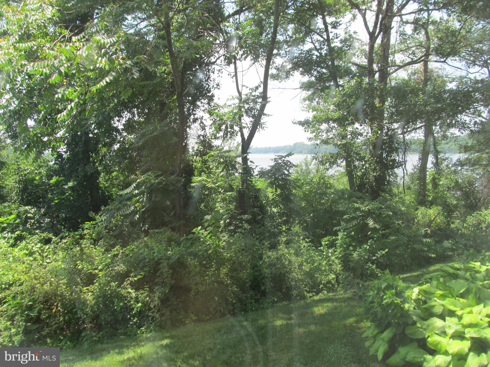36 River Lane Delanco, NJ 08075 - Photo 11 of 57
