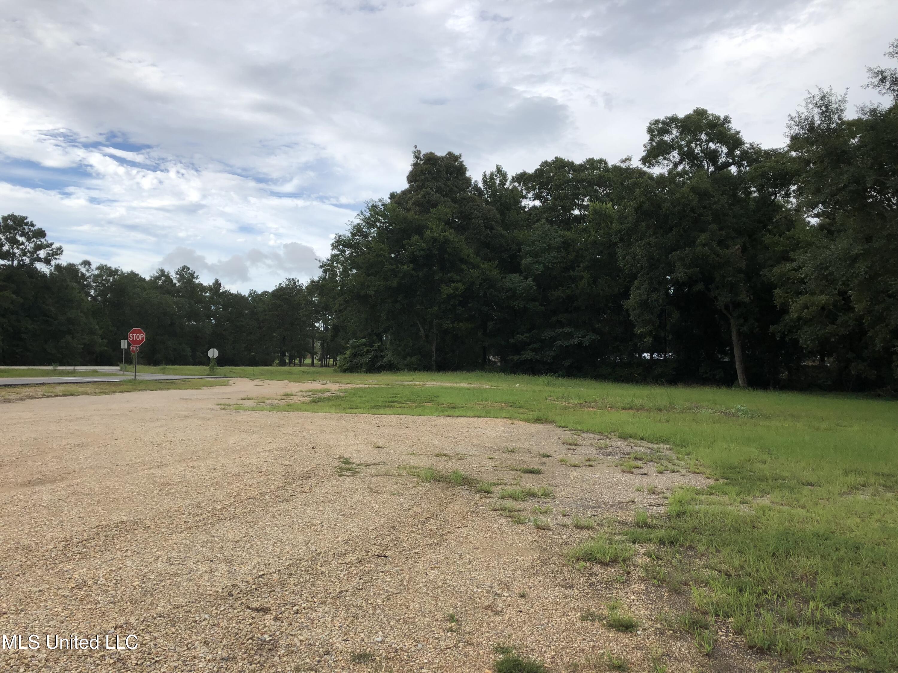 Us-11 Poplarville, MS 39470 - Photo 2 of 4 Land