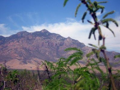 0 East Sulphur Canyon Road San Simon, AZ 85632 - Photo 1 of 8