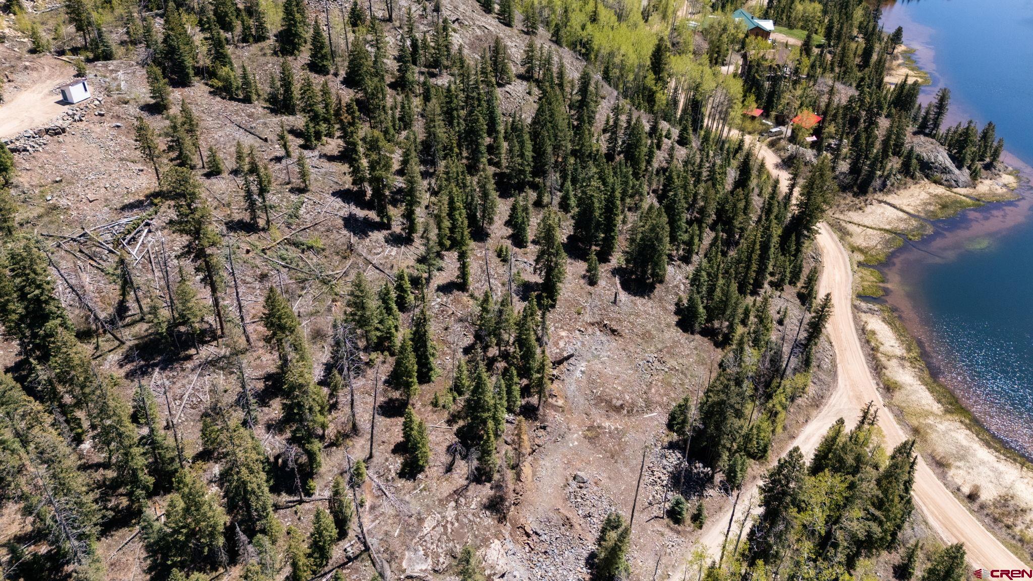 361 Deer Run Way Durango, CO 81301 - Photo 26 of 29 a view of a dry yard with lots of trees