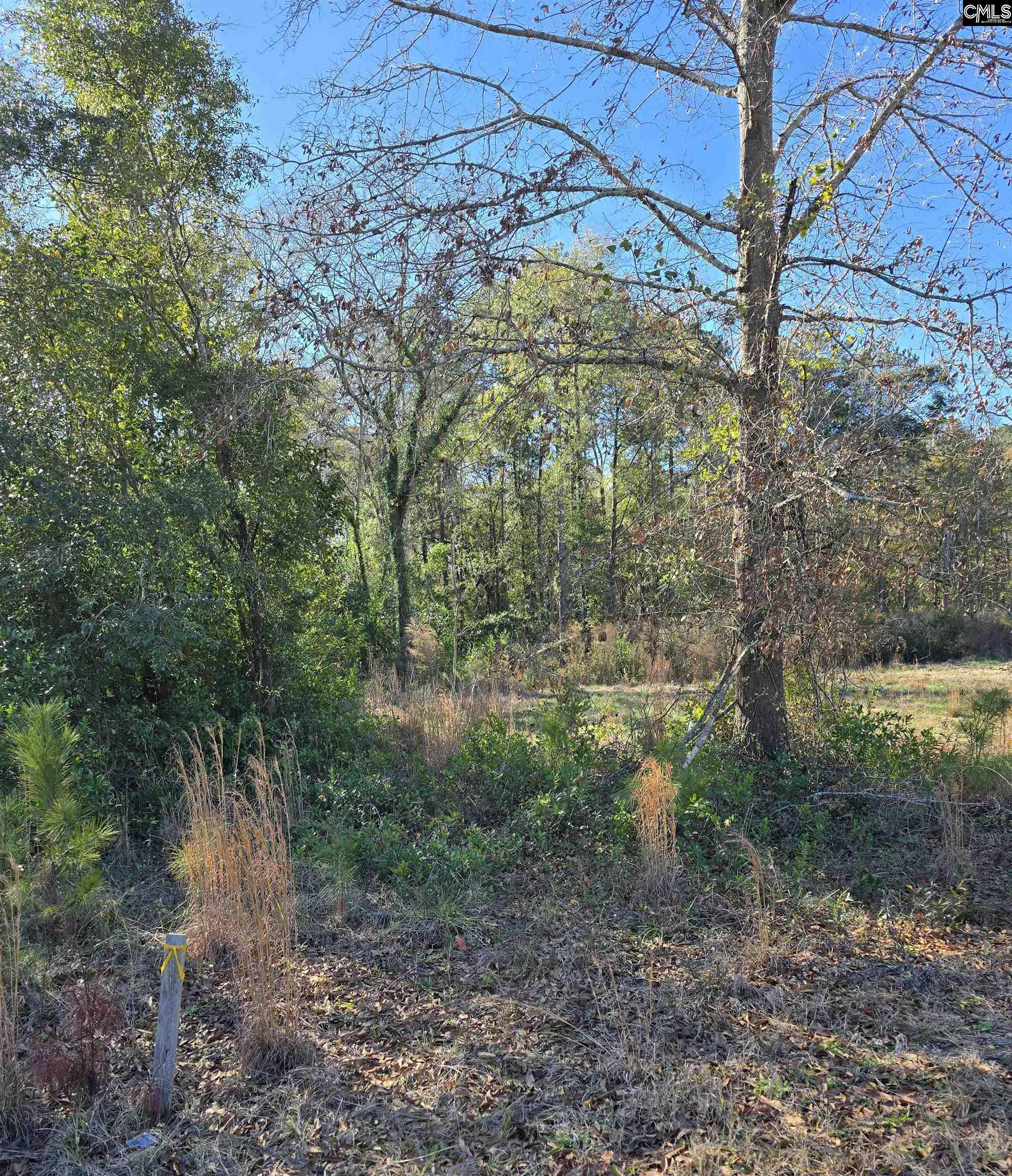 0 Popular Street, Unit LOT 1 Cayce, SC 29033 - Photo 3 of 8