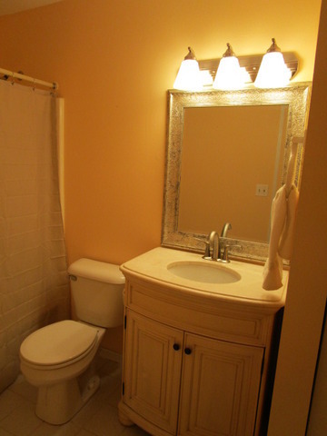 633 South Virginia Road, Unit 316 Crystal Lake, IL 60014 - Photo 11 of 14 a bathroom with a sink a toilet and mirror