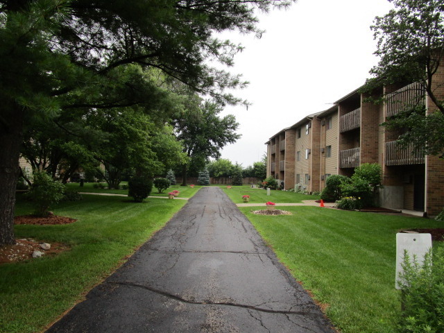 633 South Virginia Road, Unit 316 Crystal Lake, IL 60014 - Photo 3 of 14 a view of a white house with a big yard plants and large trees