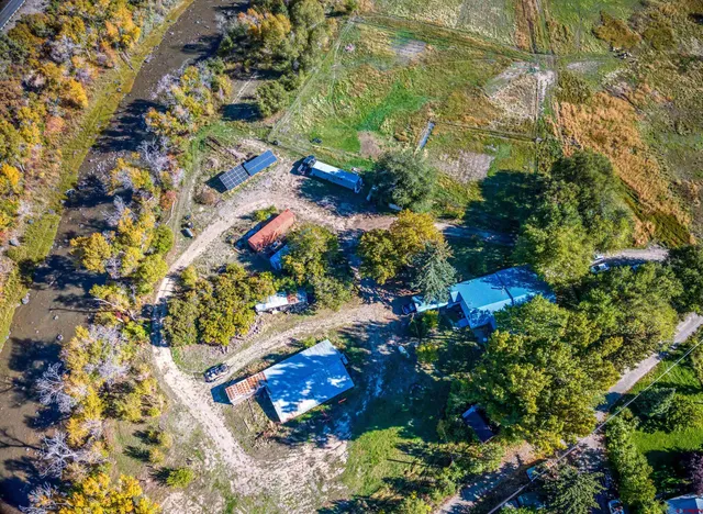 a view of a tree with a flower