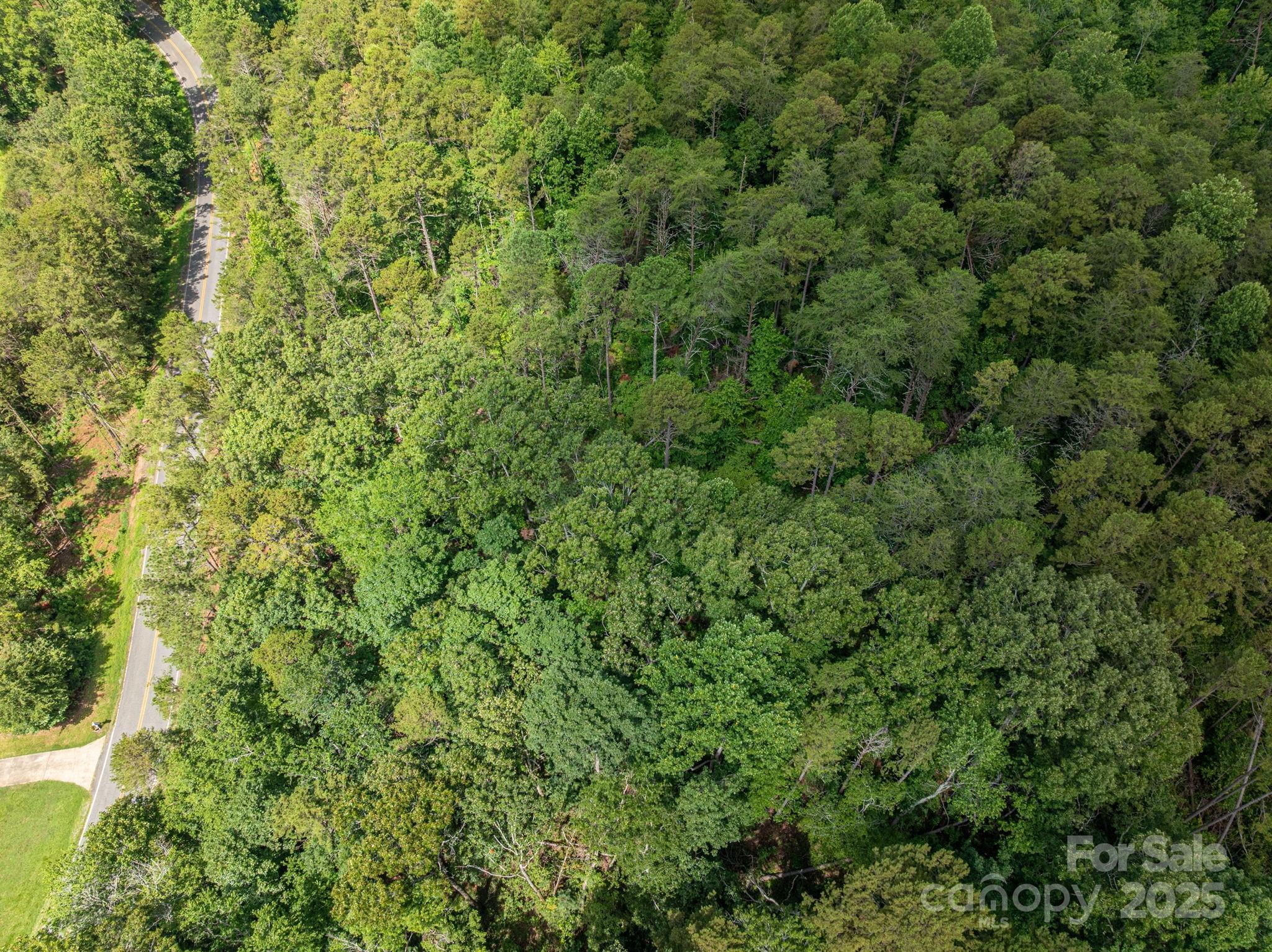 Lot 11 Mcdade Road Forest City, NC 28043 - Photo 10 of 12