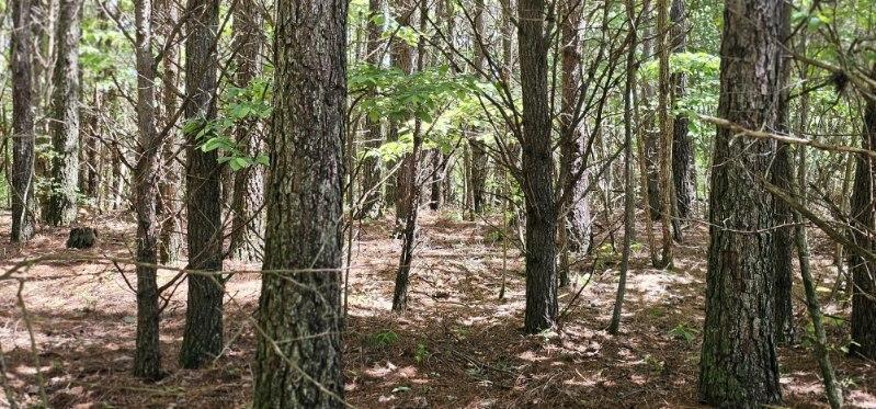 0 Sunset Road, Unit 533 Rock Island, TN 38581 - Photo 2 of 7 image000004