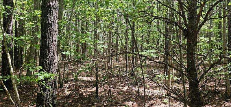 0 Sunset Road, Unit 533 Rock Island, TN 38581 - Photo 3 of 7 image000006