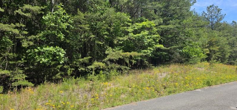 0 Sunset Road, Unit 533 Rock Island, TN 38581 - Photo 7 of 7 image000005