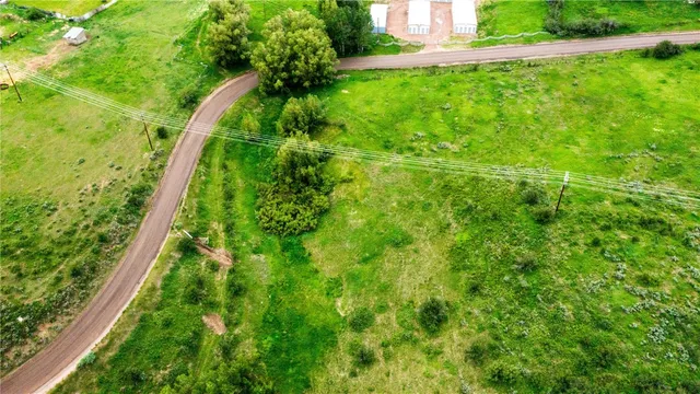 a close up of a plant in a garden
